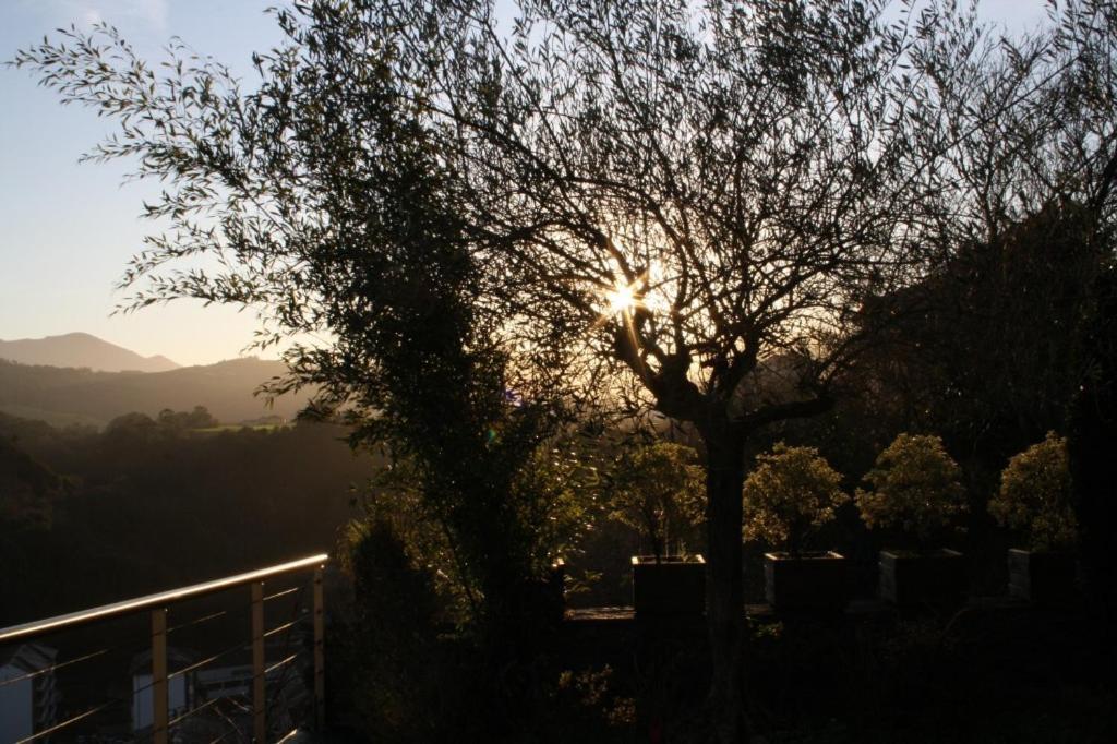 Casona El Gurugu Hotel Luarca Kültér fotó