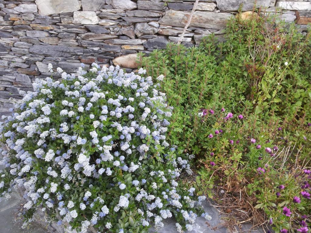 Casona El Gurugu Hotel Luarca Kültér fotó